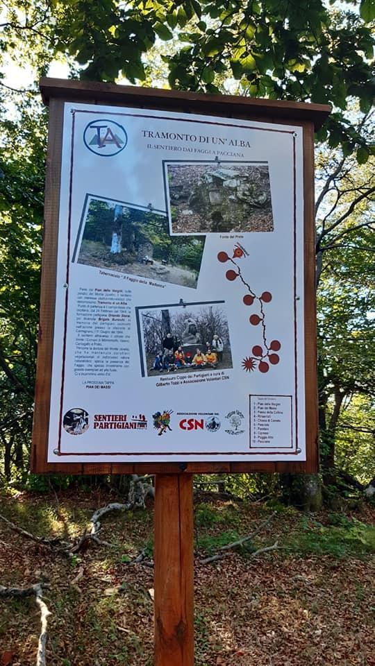 Faggi di Javello